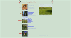 Desktop Screenshot of hedl.net